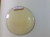 Wholesale photochromic lens (PGX, PBX lenses)