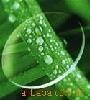 Wholesale CR39 1.499 HC lens (hard coated)