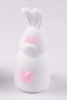 Silicone rabbit toy
