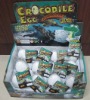 Growing Hatching Crocodile Egg