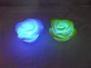 color changing toys - rose
