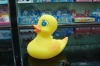 Wholesale rubber duck