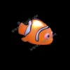 Wholesale Floating Toy