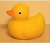 Wholesale duck racing