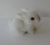 Wholesale little animal model