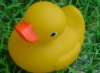 Wholesale floating toys