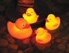 Wholesale flashing duck