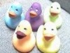 Wholesale Rubber Plastic Duck