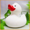 Wholesale Rubber Duck