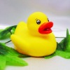 Wholesale Rubber Ducky
