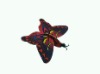 foam flying animal