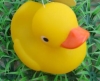Wholesale [Super Deal] pvc duck