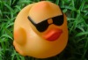 Wholesale Rubber duck toy WITH BLACK GLASSES