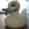Wholesale rubber duck