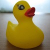 mini rubber duck