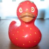 Wholesale rubber duck toy