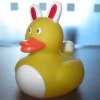Wholesale bespoke promotional duck-10.4cm(length)