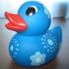 Wholesale rubber duck-10.2cm(length)