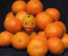 Wholesale Latex Duck Toys