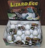 Wholesale Growing Pet lizard egg/growing egg /growing toys