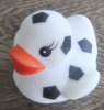 Wholesale floating duck