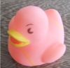 Wholesale duck toy