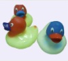 rubber duck