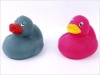 Wholesale bath duck