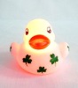 Wholesale duck