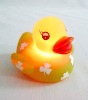 Wholesale duck
