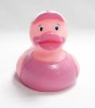 Wholesale giant duck