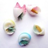 Growing Conch Expanding Sea Creature Magic toy