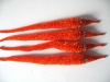 New color chenille twisty worm squirmles