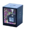 Magic saving box
