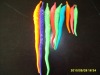 magic worm accept paypal
