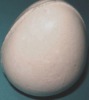 Wholesale Dissolvable Dinosaur Egg,growing toy,magic toy