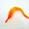 NEW ARRIVAL Magic worms,Squirmles,Slideyz,magic twisty
