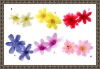 Wholesale lady earring
