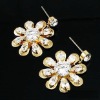 Wholesale Fashion diamond earring