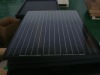 Wholesale New product--- All Black Solar Panel 250W