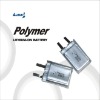Wholesale polymer lithium battery LIP042060