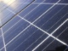 Wholesale Solar panel 220W