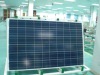 230W poly-crystalline solar panel with TUV MCS(usd1.3-1.43/w)