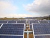 Wholesale solar module,pv SOLAR PANEL 180w