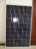 Wholesale 230W polycrystalline solar panel