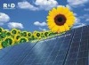 Wholesale High-efficiency Photovoltaic Module