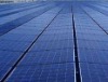Wholesale 260W solar panel