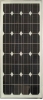 SOLAR MODULE 50W