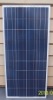 MS-P-130W pv solar module,solar panel