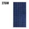 Wholesale 275W Poly Solar Module